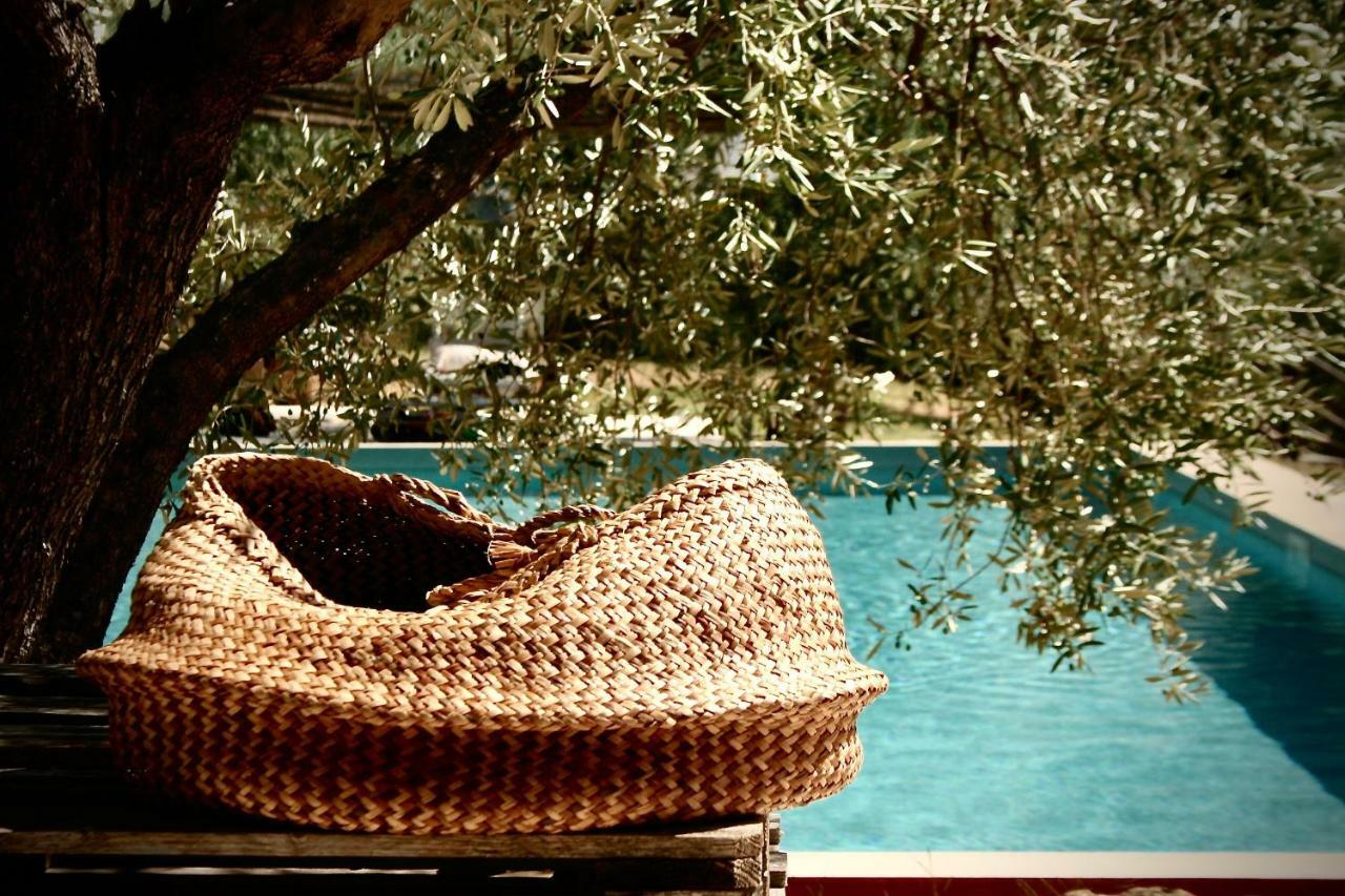Settignano Tuscany Homes Eksteriør billede