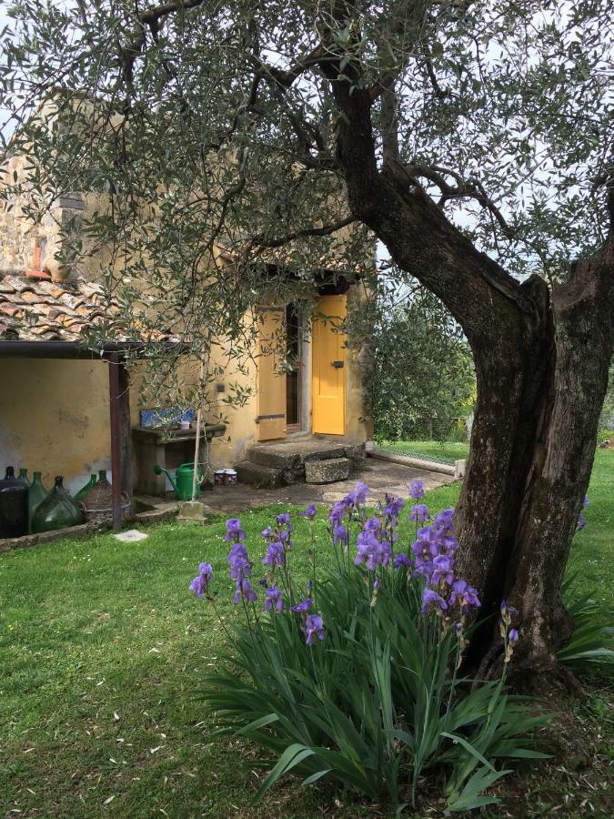 Settignano Tuscany Homes Eksteriør billede